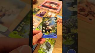 This is my new favourite card game!! 🦒🐘🦁🌿❤️🌻 #boardgame #tabletopgames #gamenight
