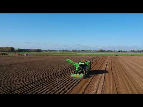 download lagu mp3 mp4 Roupin, download mp3 Roupin free download mp3, download mp3 Roupin