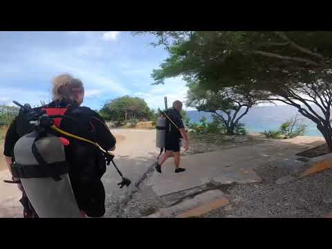 We take you to dive site 9 Karpata Bonaire