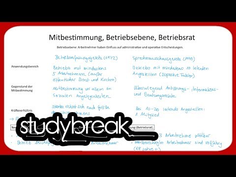 Mitbestimmung, Betriebsebene, Betriebsrat | Betriebswirtschaftslehre