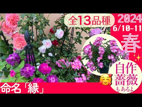 「ドイツの次なるトップモデル」: ハイディ・クルムはファイナリストについてこう評価する
