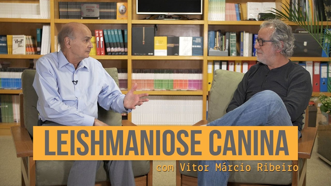 Leishmaniose canina | Vitor Márcio Ribeiro