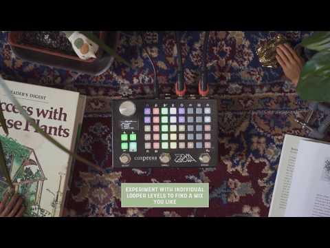 Empress ZOIA Modular Synthesizer Pedal image 6
