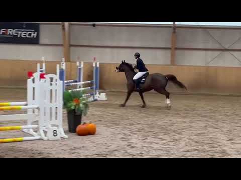 Castanea Skabersjö 20231028