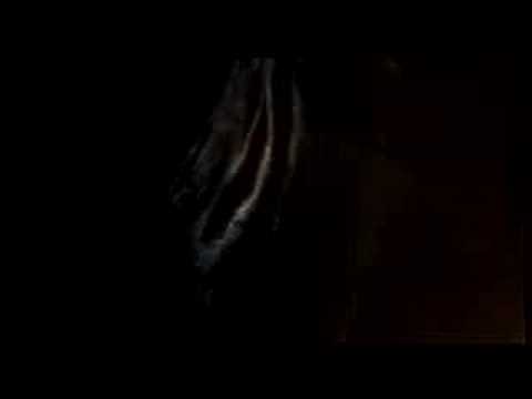 Миниатюра изображения товара Туалетная вода Hermes Terre D`hermes for Men (30мл)