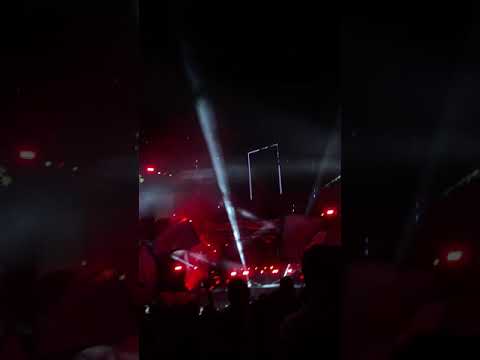 Apollonia @ Lovefest (Fire Stage) (5)