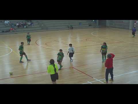 cruce de arinaga  doctoral  alevin  1p