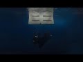 Wildflower Billie Eilish Lyric Video With Added Violins Enhanced Vocals
