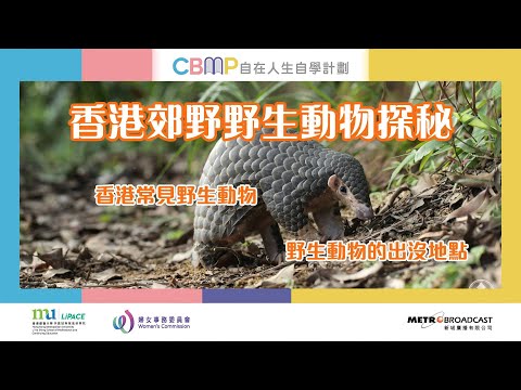 自在人生自學計劃《香港生態遊》#10 - 香港郊野野生動物探秘