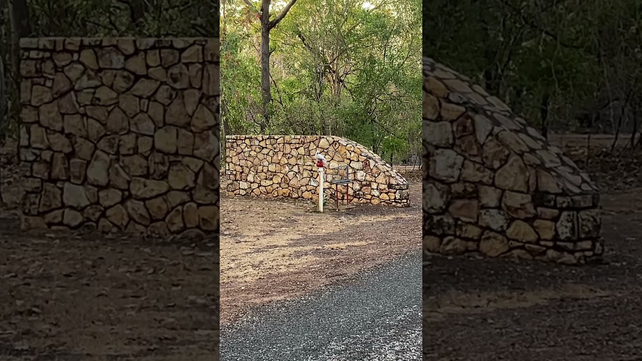 YouTube Short thumbnail