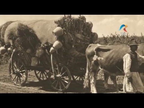 Biruitoriii Documentar  Manastirea Atintis