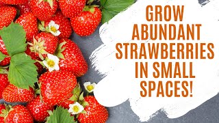 Grow Abundant Strawberries in Small Spaces!