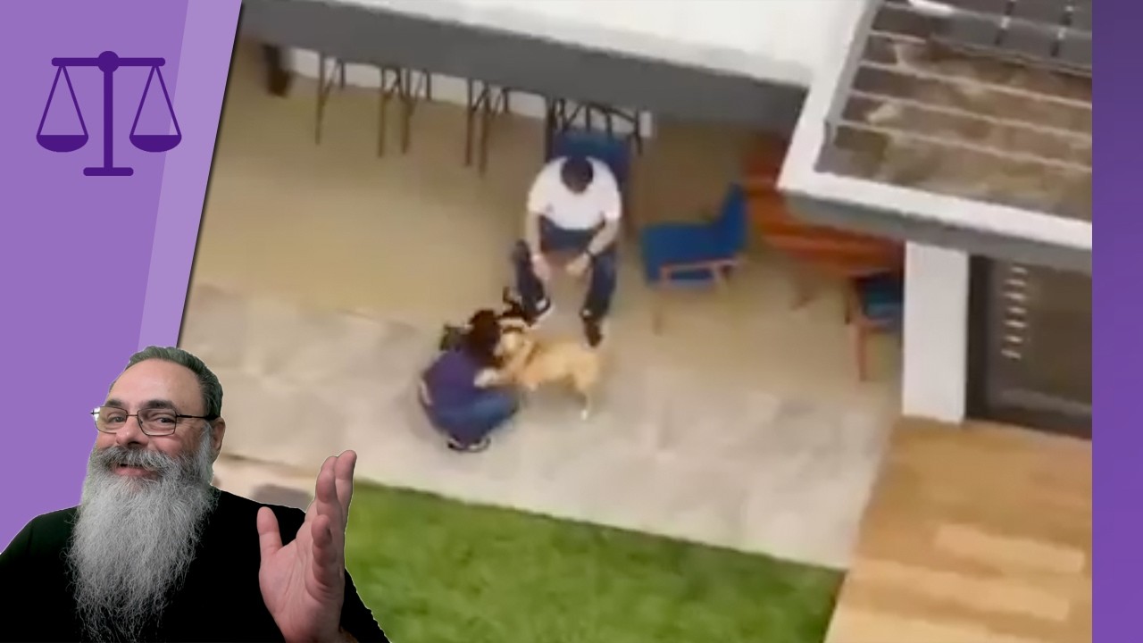 BOLSONARO em PRISÃO DOMICILIAR é uma ENORME VITÓRIA de FLÁVIO contra o "OPALA MENTIROSO" do LULA