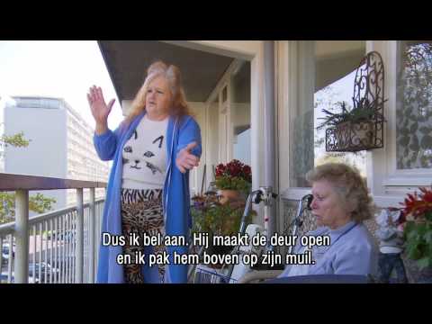 De Groeten van Gerrie - Surinamert