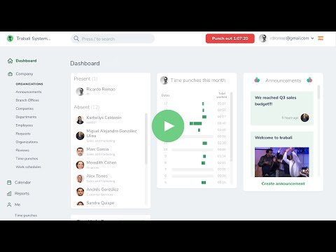 Video Image