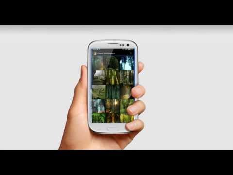 Forest Wallpapers Video