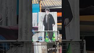 Harry Potter por ai