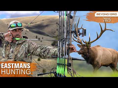 Public Land Beast! Bow Hunting Big Bulls with Brian Barney
