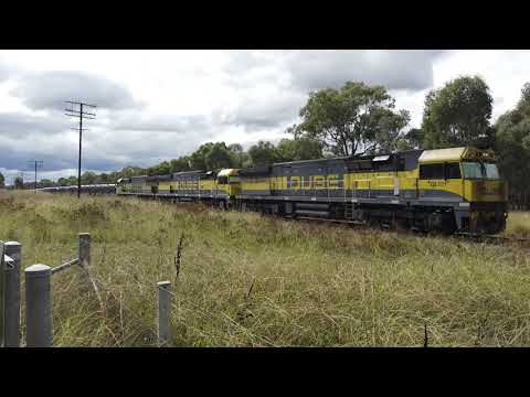 QL011 + QL001 + QL010 #5WM7