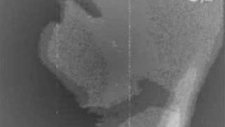 Rage Against The Machine - Beautiful World