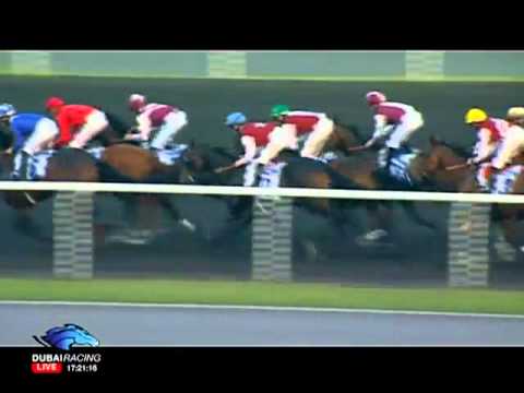23.12.2011 Meydan (Dubai UAE) 5.Race Ford Mustang Trophy - Handicap 1.600 m