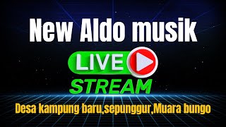 Download lagu NEW ALDO MUSIK,LIVE DUSUN KAMPUNG BARU SEPUNGGUR,MUARA BUNGO mp3