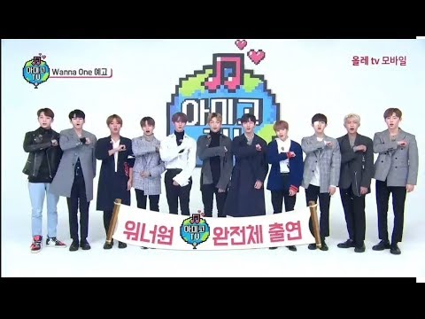 Wanna One Amigo TV Season 4| Ep.1-2-3:مترجم*