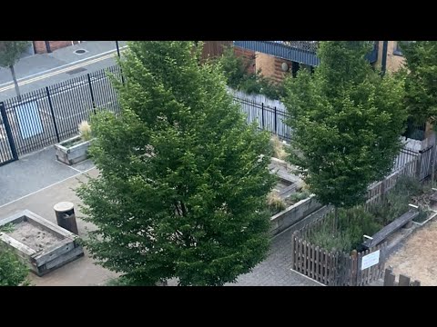 Dine with Nasrin UK is live || Sondhar chaya name elomelo hawa