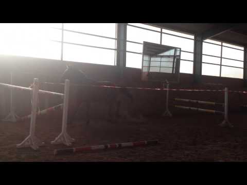 Holst. Wallach v. Quo Vados