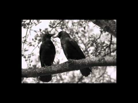 Renata Kos - Ljubav (lyrics)