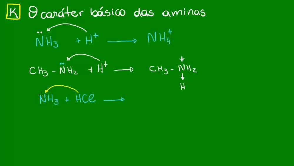 O caráter básico das Aminas - Química Orgânica - Biologia