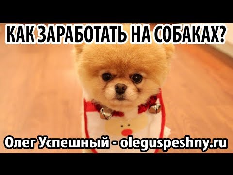 ЗАРАБОТОК НА СОБАКАХ В ИНТЕРНЕТЕ БЕЗ ВЛОЖЕНИЙ FREEDOGECOIN 2 КРАНА