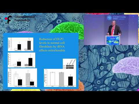 George Perry  - XI CIBERNED SCIENTIFIC FORUM - Alzheimer's Global Summit 20/09/2017