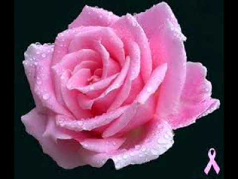 Victor rathnayake...Sonduriya obage...(සොඳුරිය ඔබගේ උවන මලක් නම්)Victor Rathnayake