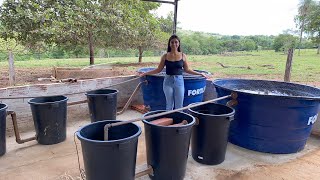 Montando o sistema para criação de tilápias em caixa d'àgua