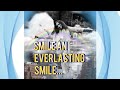 Smile An Everlasting Smile Song Lyrics