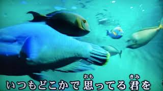 【ガイドボーカル】Flower「Still」