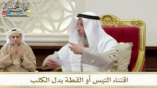 1374 - اقتناء التيس أو القطة بدل الكلب - عثمان الخميس