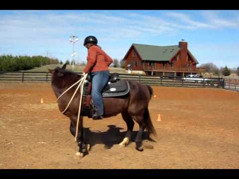 Fundamental Riding Part 2