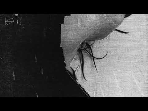 These Hidden Hands - These Moments Dismantled feat. Lucrecia Dalt