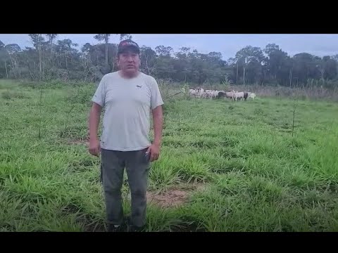 GANADERIA JUAN DE MATA SOCIEDAD ANONIMA CERRADA