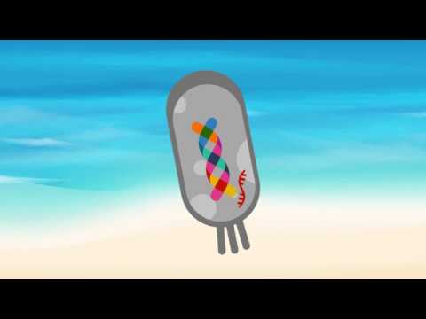 A Molecular Genetic Basis Explaining Altered Bacterial Behavior in Space