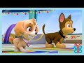 PAW Patrol Dancing PAW Patrol Wildbrain Wonder