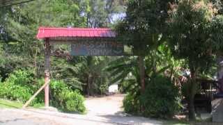 preview picture of video 'Swiss Cottage Tioman'
