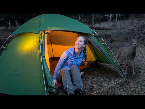 Solo Camping in the Forest | An Unforgettable Morning