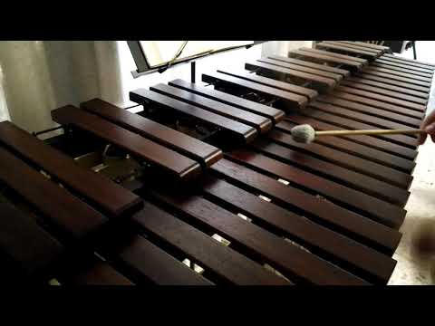 Inni di lode N°46: Padre nostro Marimba Cover