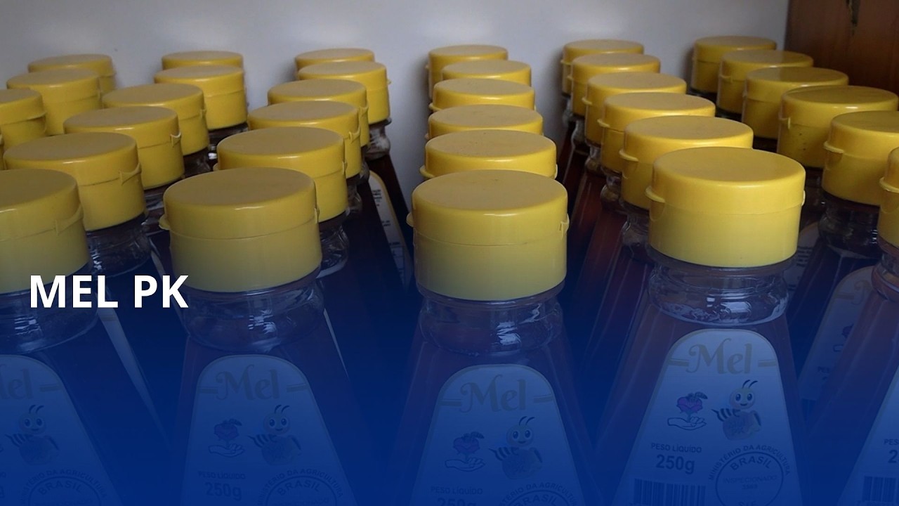 Apicultor de Agrolândia produz mel vendido em todo o Estado