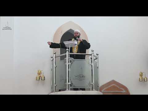 mr. Sead-ef. Islamović - Pravila za uspeh #hadzimehovadzamija 