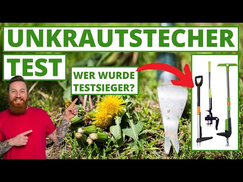 Unkrautstecher Test - Das sind die Besten
