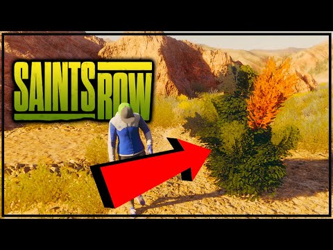 SAINTS ROW - The Singing Bush Easter Egg (Three Amigos Reference)